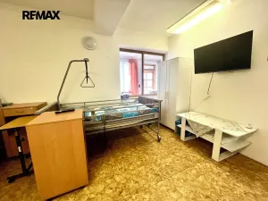Prodej ubytování, Bzenec, Vracovská, 132 m2