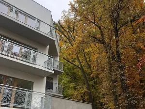 Prodej obchodního prostoru, Karlovy Vary, Šumavská, 150 m2