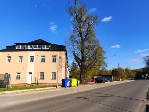 Pronájem bytu 1+1, Šumperk, Žerotínova, 40 m2