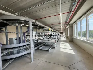 Prodej skladu, Nová Paka, 9000 m2