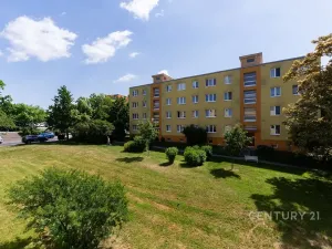 Prodej bytu 2+1, Most, 1. máje, 50 m2