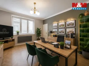 Prodej rodinného domu, Přerov - Přerov I-Město, Nerudova, 294 m2