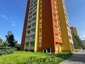 Prodej bytu 1+kk, Ostrava, Výškovická, 28 m2