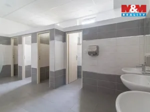 Pronájem kanceláře, Praha - Bubeneč, Podbabská, 18 m2