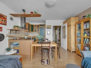 Pronájem bytu 2+kk, Liberec, Olbrachtova, 42 m2