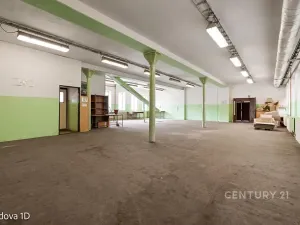 Pronájem skladu, Děčín, Rudolfova, 225 m2