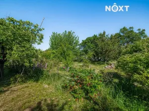 Prodej rodinného domu, Ořechov, Pavlíkova, 245 m2