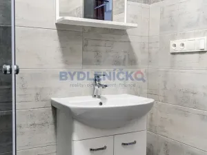 Pronájem bytu 1+kk, České Budějovice, Nová, 30 m2