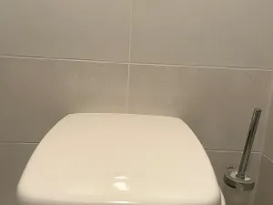 Pronájem bytu 3+1, Frýdek-Místek, Viléma Závady, 125 m2