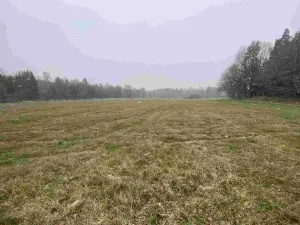 Prodej pozemku, Jindřichův Hradec - Horní Žďár, 16799 m2