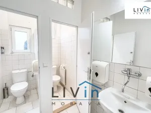 Pronájem kanceláře, Olomouc, Karolíny Světlé, 50 m2