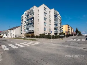 Pronájem bytu 2+1, České Budějovice - České Budějovice 5, Dobrovodská, 56 m2