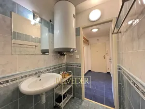 Pronájem bytu 1+kk, Praha - Nusle, Bohuslava ze Švamberka, 25 m2