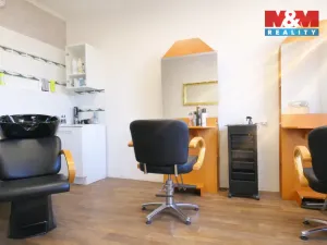 Pronájem obchodního prostoru, Ostrava - Mariánské Hory, 28. října, 50 m2
