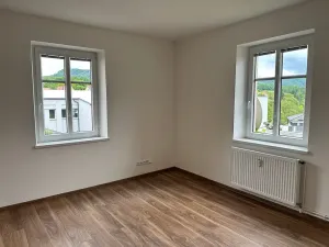 Pronájem bytu 2+1, Děčín, Škroupova, 64 m2