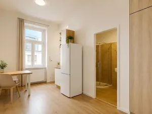 Pronájem bytu 2+kk, Praha - Nusle, Boleslavova, 36 m2