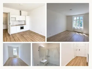 Pronájem bytu 2+kk, Brno, Antonínská, 69 m2