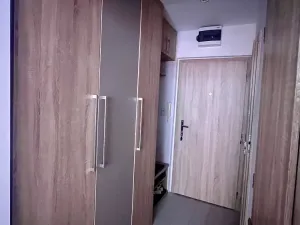 Pronájem bytu 1+kk, Karviná, tř. 17. listopadu, 32 m2