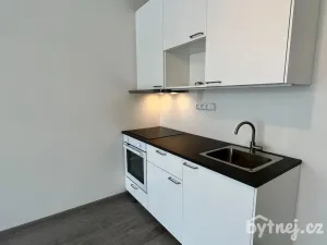 Pronájem bytu 1+kk, Vyškov - Dědice, Sídliště Osvobození, 29 m2