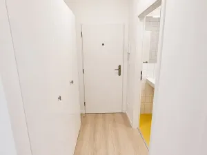 Pronájem bytu 1+kk, Praha - Vysočany, Poděbradská, 25 m2