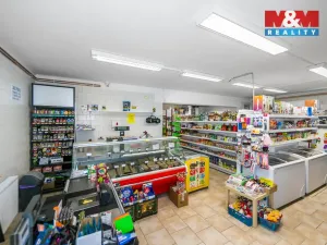 Prodej rodinného domu, Bor, náměstí Republiky, 197 m2