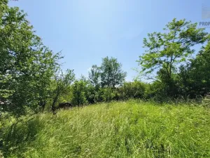 Prodej rodinného domu, Kožušice, 105 m2