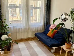 Prodej bytu 2+kk, Praha - Žižkov, Dalimilova, 50 m2