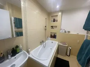 Pronájem bytu 2+1, Břeclav, 58 m2