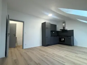 Pronájem bytu 1+kk, České Budějovice, Rudolfovská tř., 30 m2