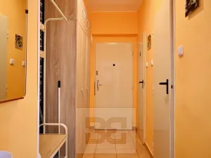 Pronájem bytu 1+1, Brno, Křídlovická, 42 m2