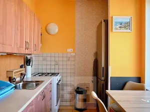 Pronájem bytu 1+1, Brno, Křídlovická, 42 m2