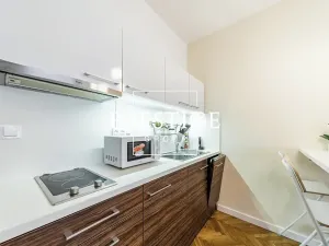 Pronájem bytu 1+kk, Praha - Nové Město, Na zbořenci, 27 m2
