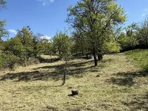 Prodej zahrady, Slavkov u Brna, 539 m2