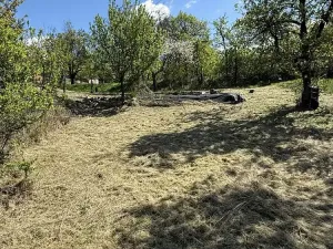 Prodej zahrady, Slavkov u Brna, 539 m2