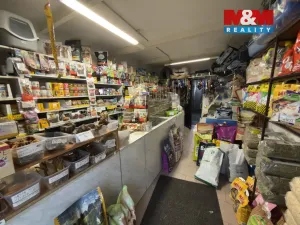 Prodej obchodního prostoru, Karviná - Ráj, Kosmonautů, 21 m2