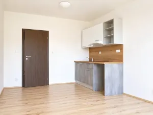 Pronájem bytu 1+kk, Syrovice, 28 m2