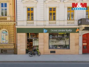 Pronájem restaurace, Plzeň - Jižní Předměstí, Americká, 145 m2