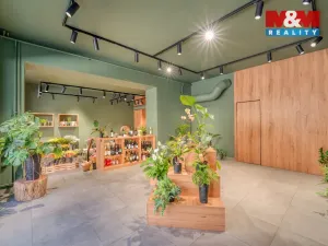 Pronájem restaurace, Plzeň - Jižní Předměstí, Americká, 145 m2