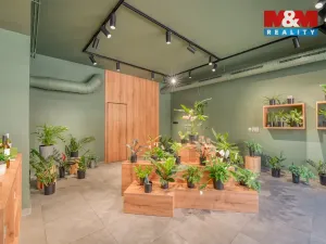 Pronájem restaurace, Plzeň - Jižní Předměstí, Americká, 145 m2