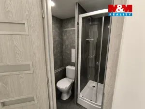Pronájem bytu 1+1, Ústí nad Labem - Severní Terasa, Oblá, 41 m2