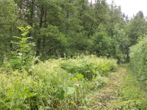 Prodej pozemku, Teplice nad Metují - Horní Teplice, 18922 m2