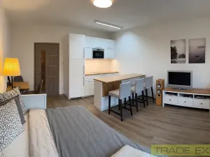 Prodej bytu 1+kk, Dolní Břežany, Ke Kapličce, 34 m2