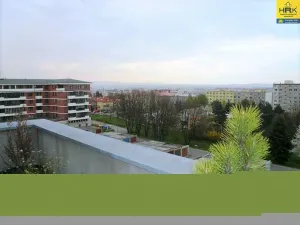 Pronájem bytu 3+kk, Olomouc, Bacherova, 113 m2