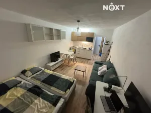 Pronájem bytu 1+kk, Karviná, Studentská, 29 m2