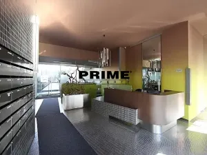 Pronájem bytu 3+kk, Praha - Žižkov, Prokopova, 154 m2