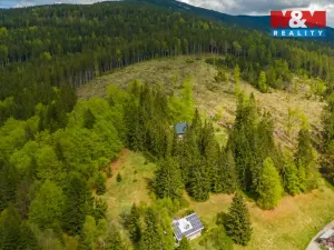 Prodej louky, Harrachov, 8167 m2