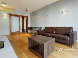 Pronájem bytu 1+kk, Brno, Kopečná, 40 m2