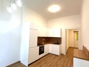 Pronájem bytu 4+1, Praha - Vinohrady, Polská, 128 m2