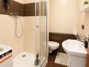 Pronájem bytu 1+1, Plzeň, Na Dlouhých, 37 m2