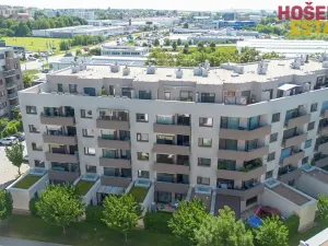 Prodej bytu 2+kk, Brno, Kigginsova, 60 m2